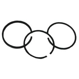 Briggs & Stratton Piston Rings, Standard, 1 cylinder set, 500-017