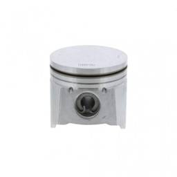 Caterpillar Natural Gas Piston Kit, 311211
