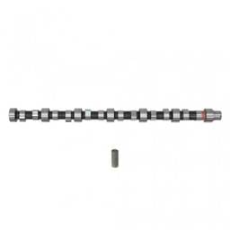Cummins Camshaft Assembly, 3944984