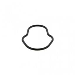 Cummins Fuel Pump Gasket, 2830156