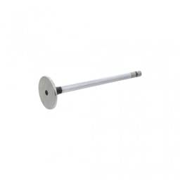 Cummins Intake Valve, 4981794