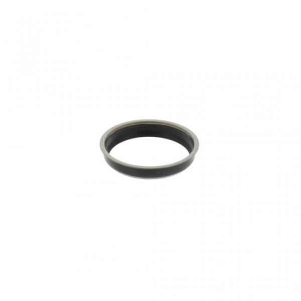 Cummins Seal, 3684360