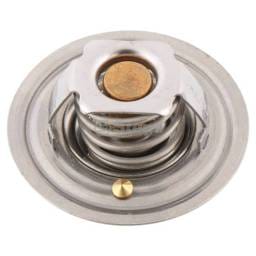Ford New Holland Thermostat, 1106-6006