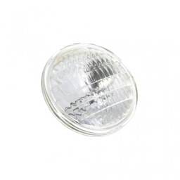 Mack Bulb, 21SG24