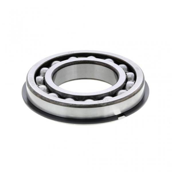 Mack Cage Bearing, 46AX489