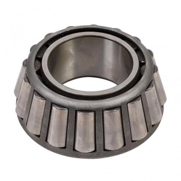 Mack Cone, 31SP48