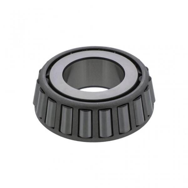 Mack Cone, 8236-557S