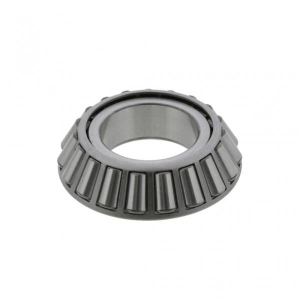 Mack Cone, 8235-55206C