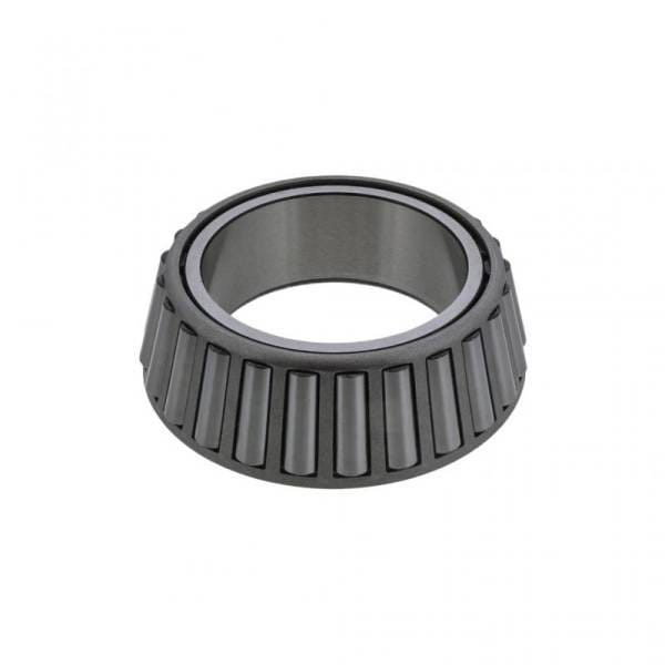 Mack Cone, 8236-HM516449C