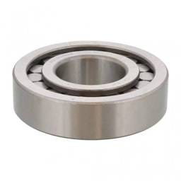 Mack Pinion Bearing, 67AX189
