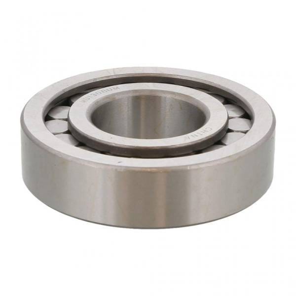 Mack Pinion Bearing, 67AX189
