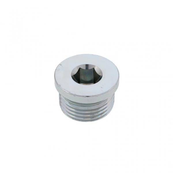 Mack Pipe Plug, 6635-10HP5NS