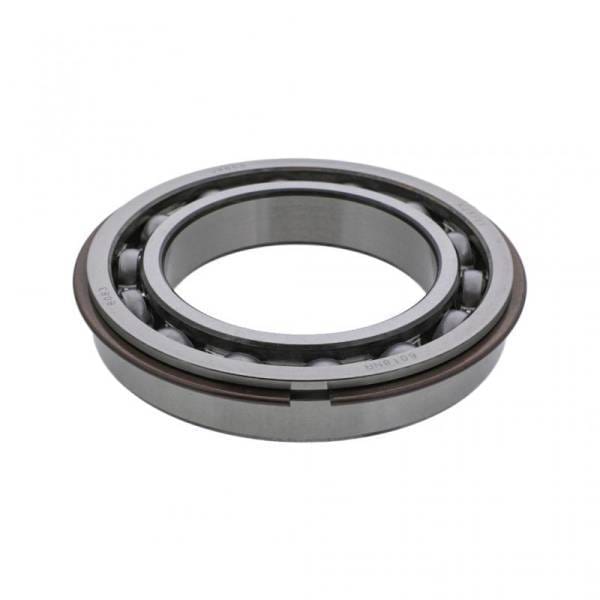 Mack Rear Mainshaft Bearing, 46AX517
