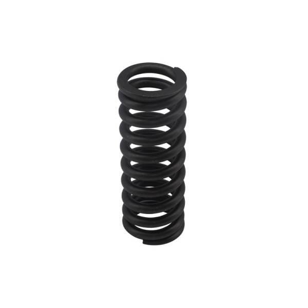 Cummins Valve Spring, 3679551