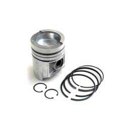 Ford Piston & Rings, F161179