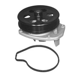 GM Water Pump, 12653567