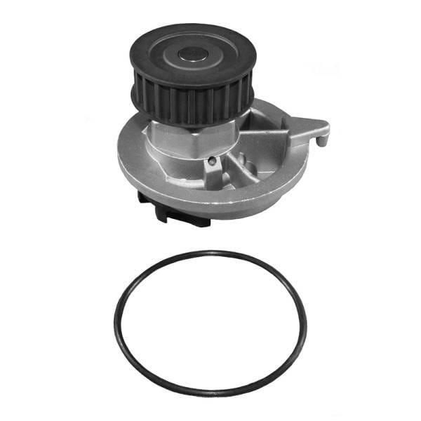 GM Water Pump, 12511062