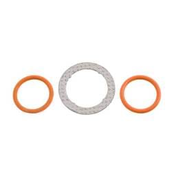 International Navistar EGR Valve O-Ring Kit, 1840778C91