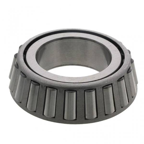 Eaton Cone, 3979
