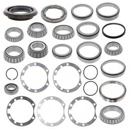 Eaton Seal/Bearing Kit, 920026