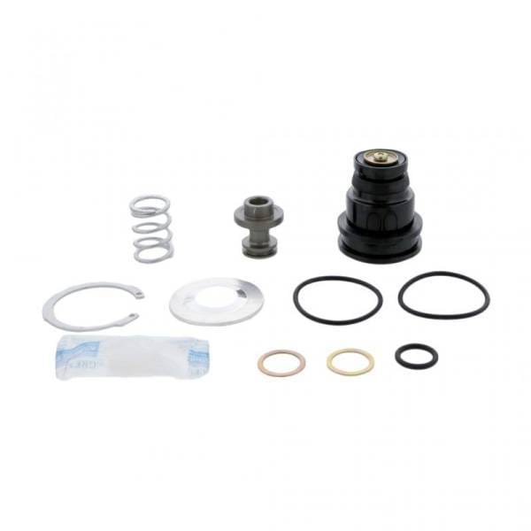 Rockwell Purge Valve Kit, R950014
