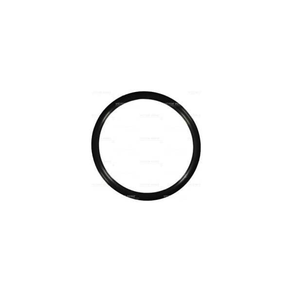 Deutz Bracket O-Ring, 1182379