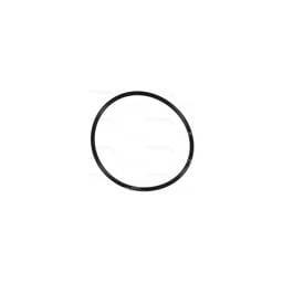 Deutz Filter O-Ring, 4207184