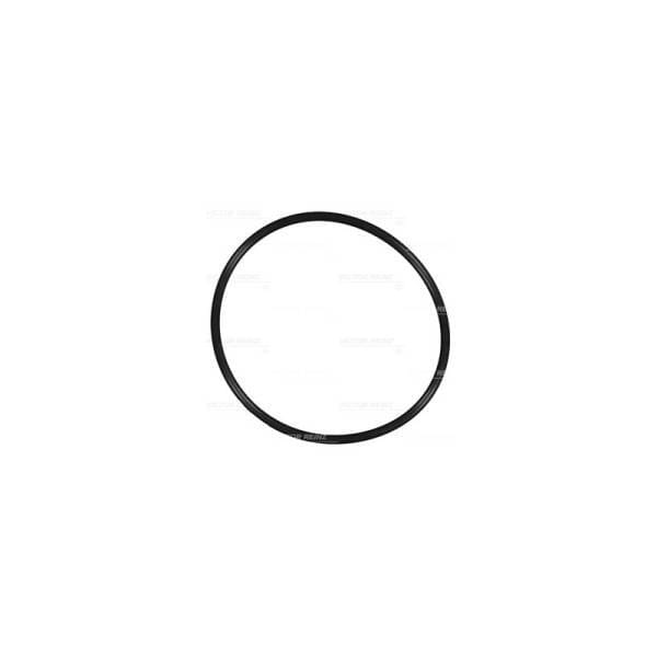 Deutz Filter O-Ring, 4207184