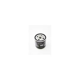 Deutz Fuel Filter, 1174696