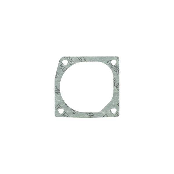 Deutz Gasket, 4198669