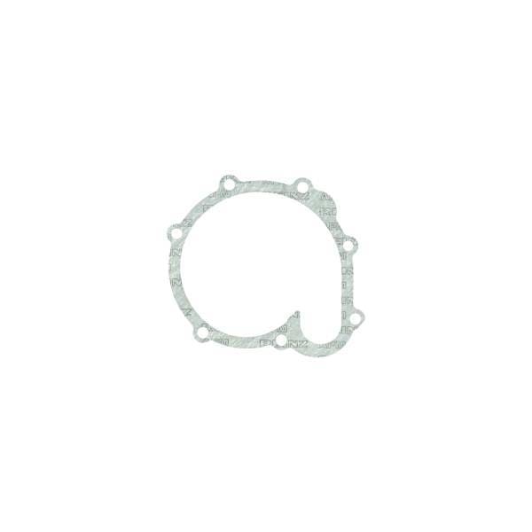 Deutz Gasket, Flat, Water Pump, 4198968