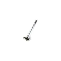 Deutz Intake Valve, 4170491