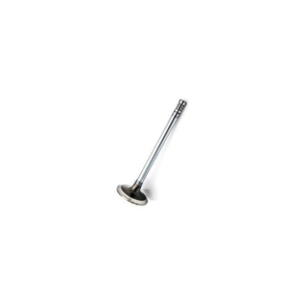 Deutz Intake Valve, 4170491
