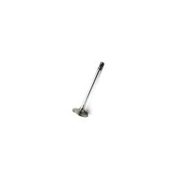 Deutz Intake Valve, 4170898