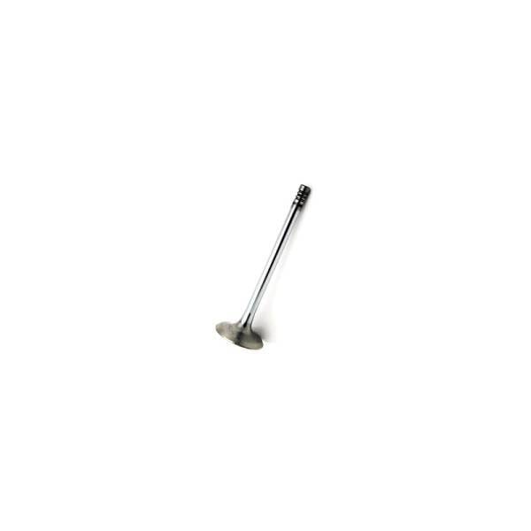 Deutz Intake Valve, 4170898