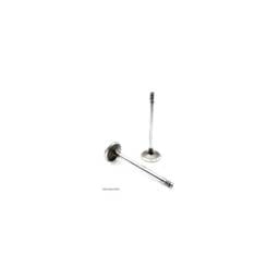 Deutz Intake Valve, 4283376