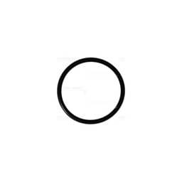 Deutz O-Ring, 1178213