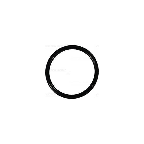 Deutz O-Ring, 1179160
