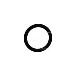 Deutz O-Ring, 1180811