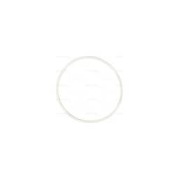 Deutz O-Ring, Intake Manifold, Flange, 1179307