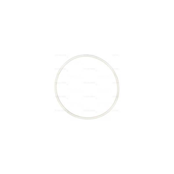 Deutz O-Ring, Intake Manifold, Flange, 1179307