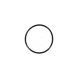 Deutz Oil Filter Housing O-Ring, 1180141