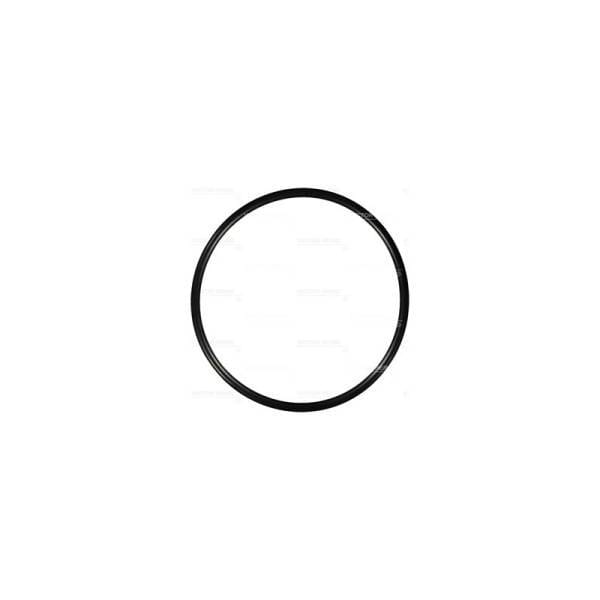 Deutz Oil Filter Housing O-Ring, 1180141