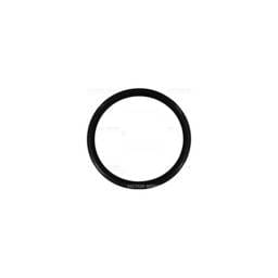 Deutz Pump O-Ring, 1319139