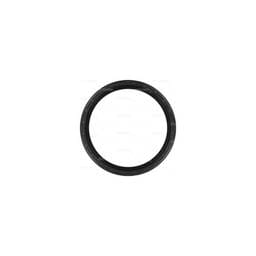 Deutz Rear Crankshaft Seal, 4175433