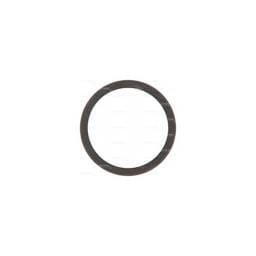 Deutz Rear Crankshaft Seal, 4253332