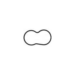 Deutz Thermostat Gasket Sealing Ring, 4506164