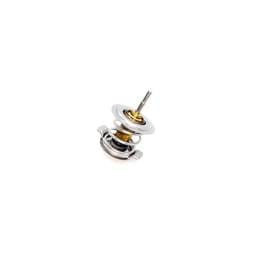 Deutz Thermostat Insert Element, 4204796