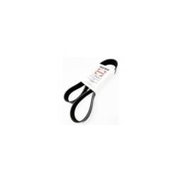 Deutz V-Ribbed Belt, 1183380