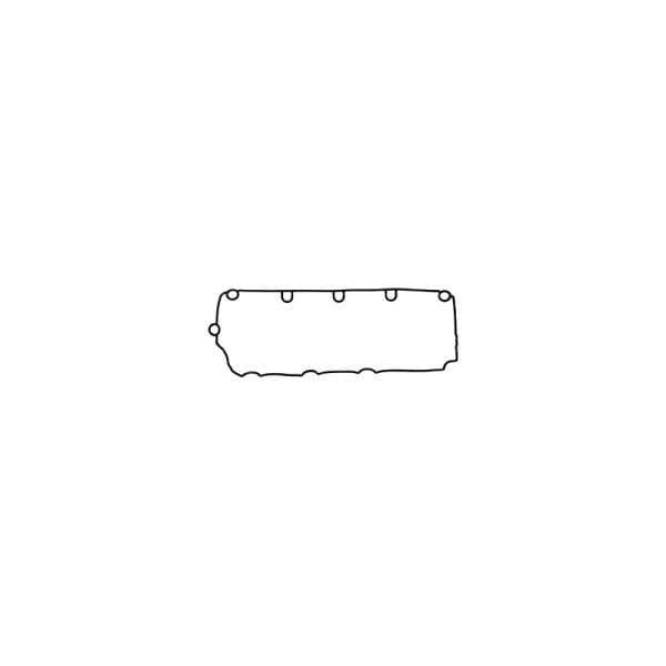 Deutz Valve Cover Gasket, 4250634